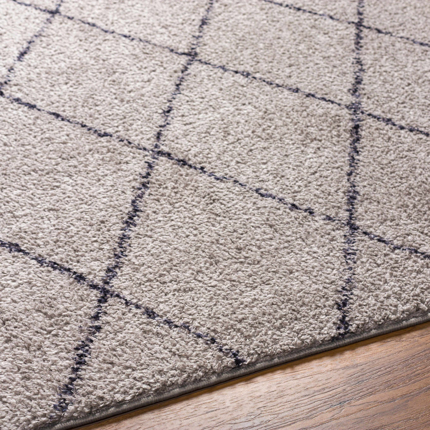 Deza Gray Washable Area Rug - Clearance