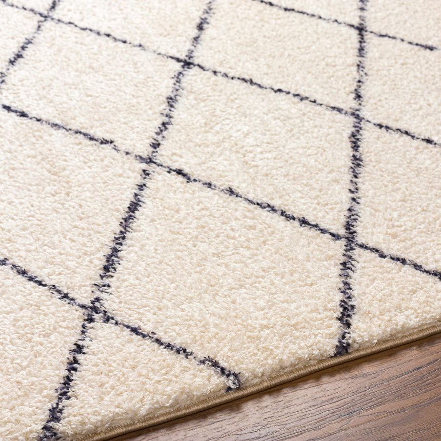 Deza Beige Washable Area Rug - Clearance