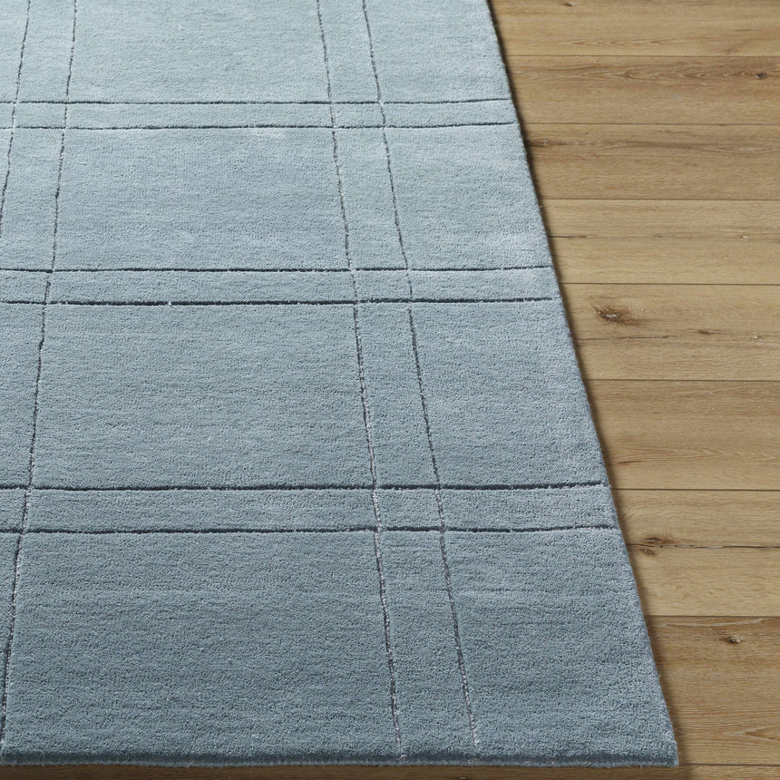 Sixto Sage Area Rug