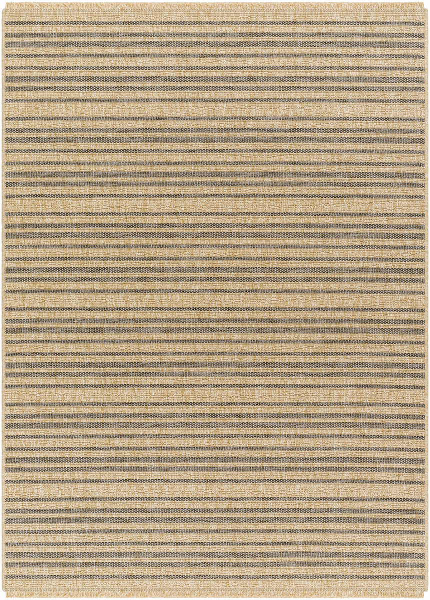 Aphea Indoor & Outdoor Rug