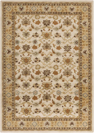 Close-up of the hand-tufted Smoot Area Rug. Beige rug with brown, tan, and olive floral pattern and traditional border. Design-Rectangle-1014