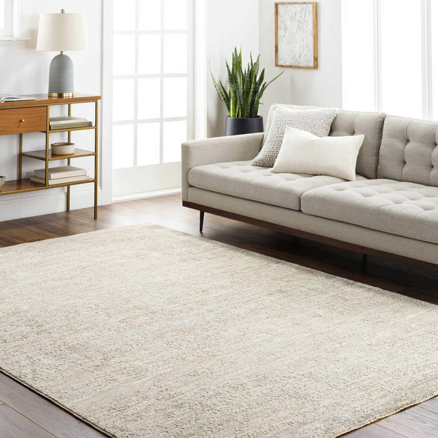 Light gray Levon area rug in a living room with a beige sofa, wood floors, and natural light. Roomscene-Rectangle