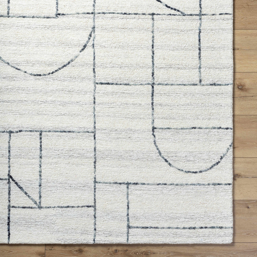 Sanaz Charcoal Area Rug - Clearance