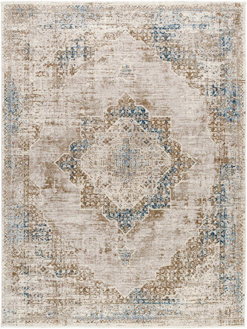 Close-up of the Kosta Beige & Blue Medallion Area Rug, featuring a traditional farmhouse design with beige, blue, and brown tones. Design-Rectangle-710106