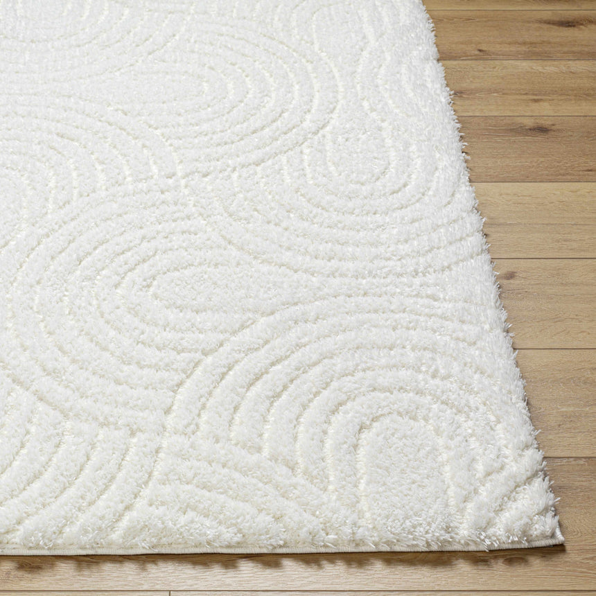 Kaoru Area Rug