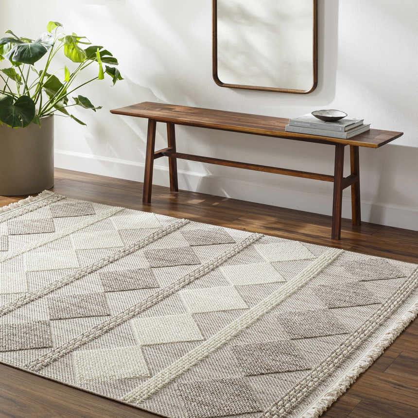 Entryway scene with a beige Igone Area Rug, wood bench, mirror, and potted plant. Farmhouse style. Roomscene-Rectangle