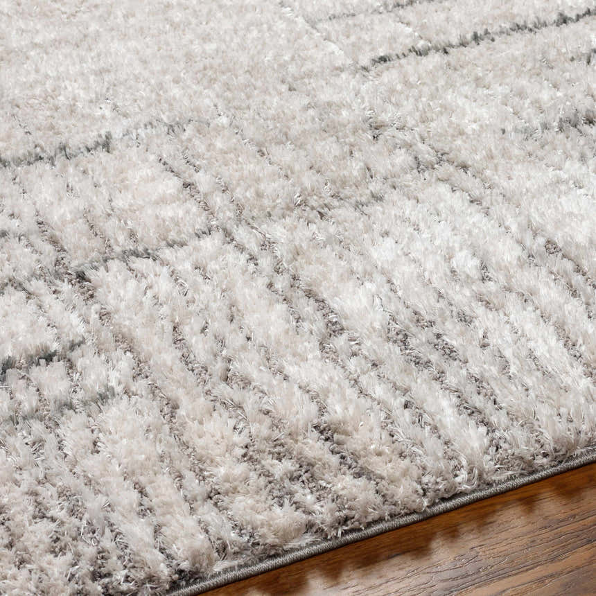 Close-up of the Debby Area Rug, a shag rug in light gray with a subtle geometric pattern. Texture
