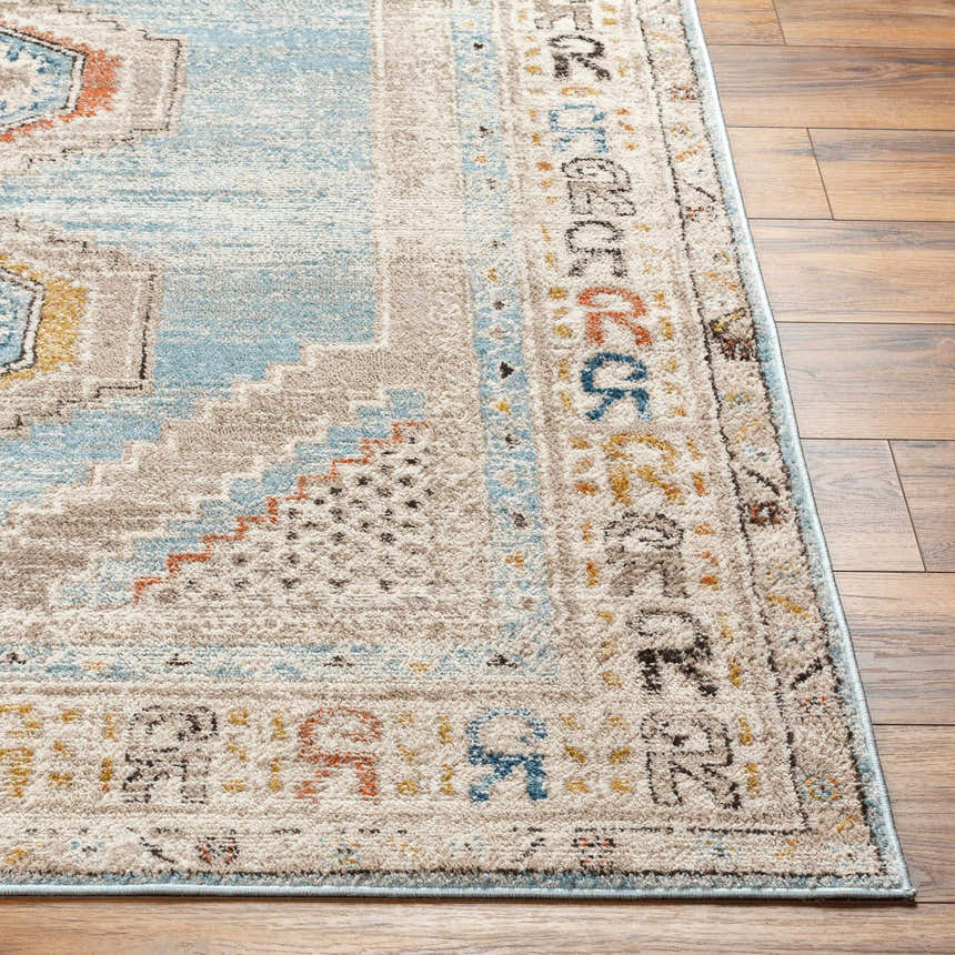 Close-up of the Iresh Area Rug showing its traditional pattern, cloud gray, beige, brown, and blue colors, and soft polypropylene texture. Front