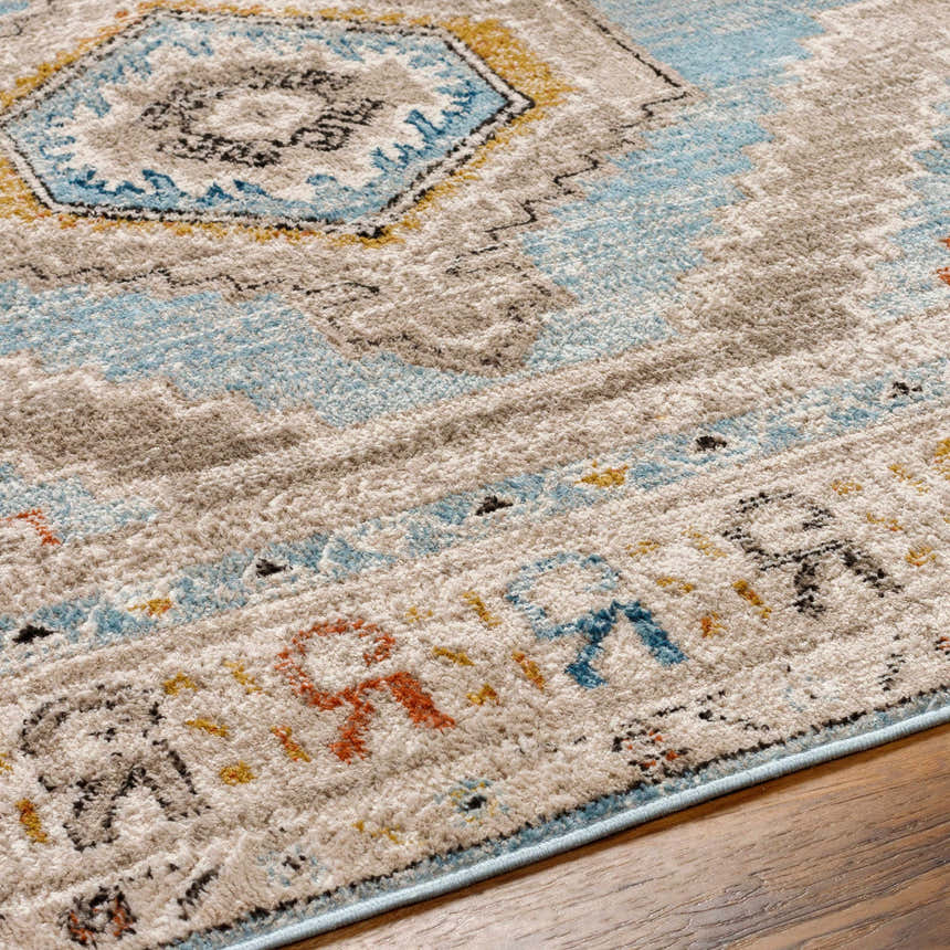 Close-up of the Iresh Area Rug showing its traditional pattern, cloud gray, beige, brown, and blue colors. Texture
