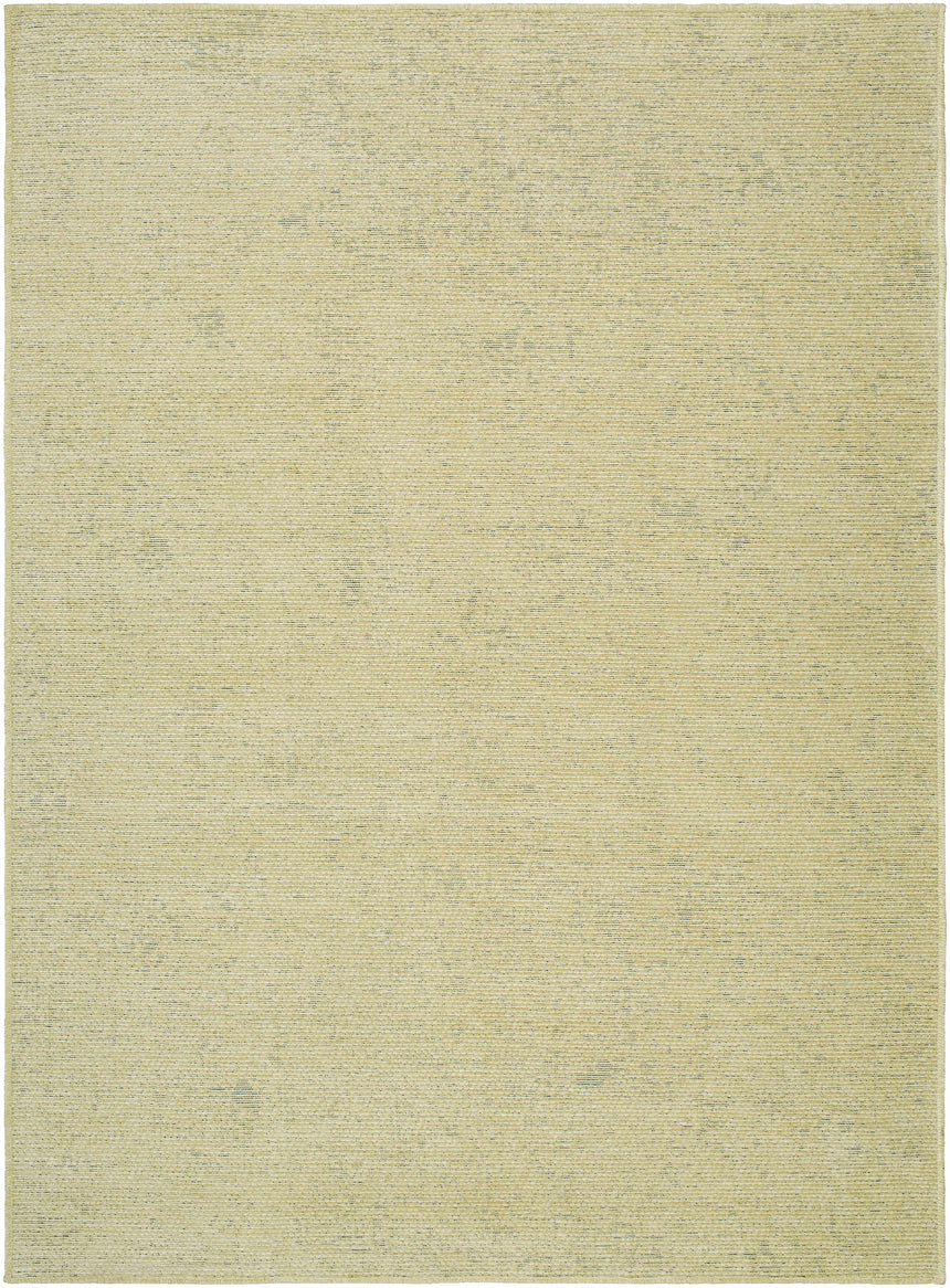 Isako Solid Lime Washable Area Rug - Promo