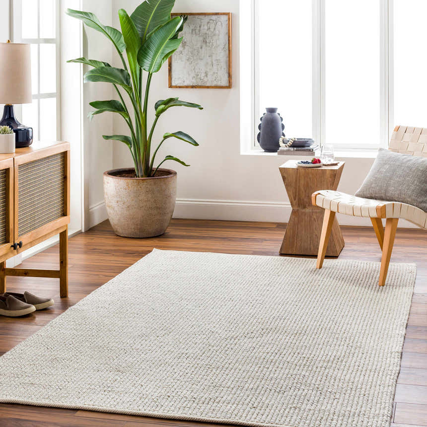 Living room scene with beige Edith Premium Rug, wood furniture, and a large potted plant. Roomscene-Rectangle