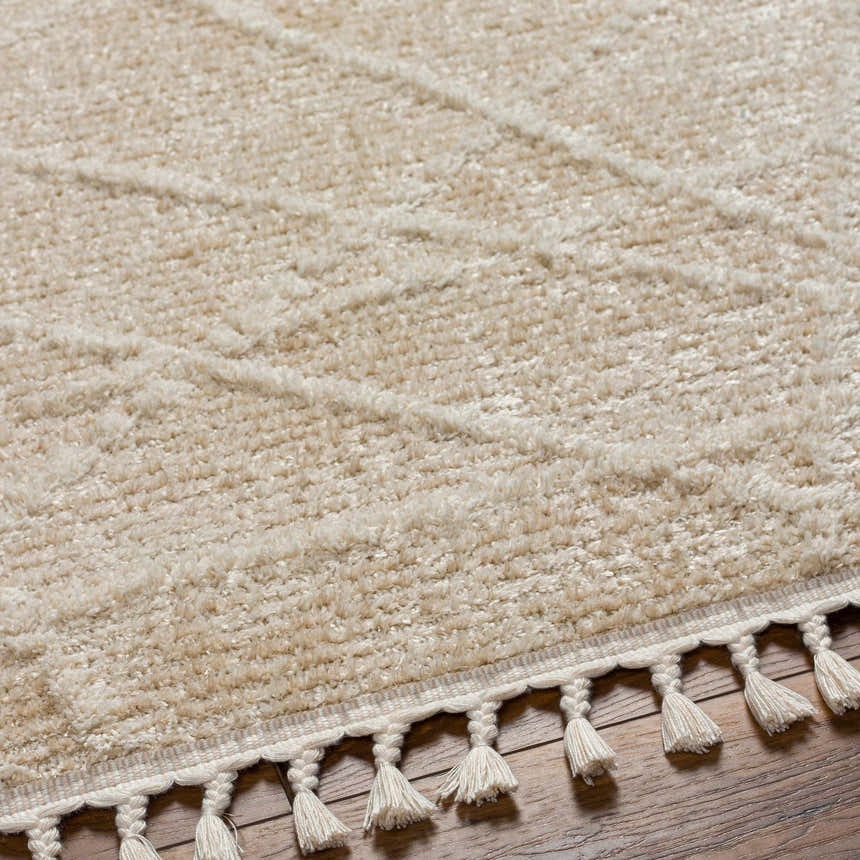 Close-up of the Hosea Cream Area Rug showing its textured beige pile and braided tassels on a wood floor. Texture