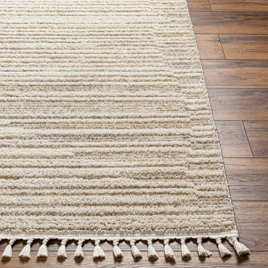Close-up of the beige Levy Area Rug showing its horizontal stripes, soft texture, and decorative tassels. Front