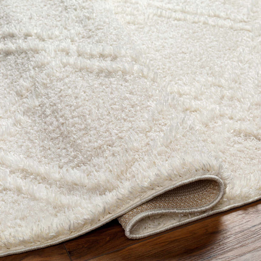 Close-up of the Elyse Cream Area Rug showing its shag texture, cream color, and machine-woven construction. Fold
