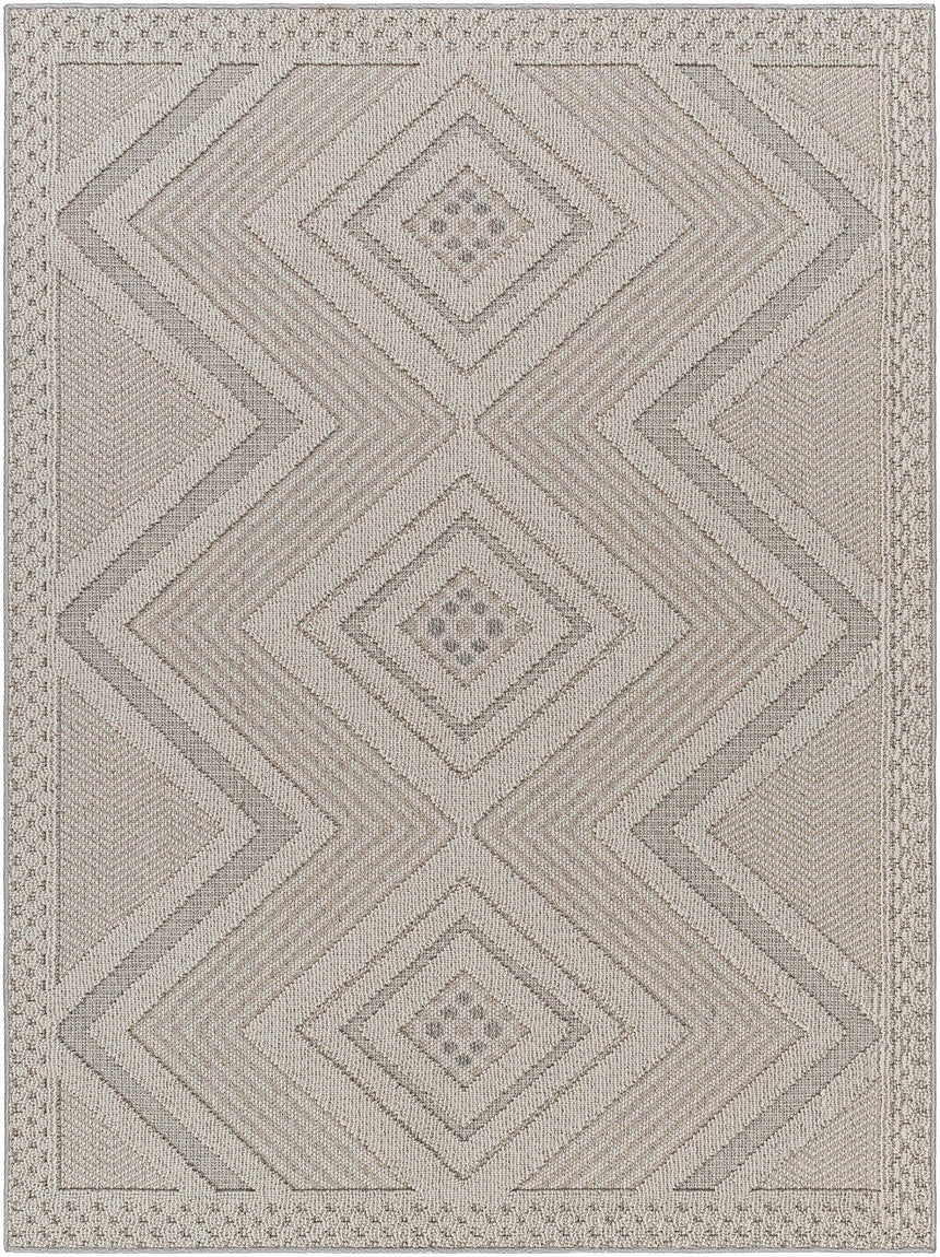 Aimee Natural Gray Area Rug - Clearance