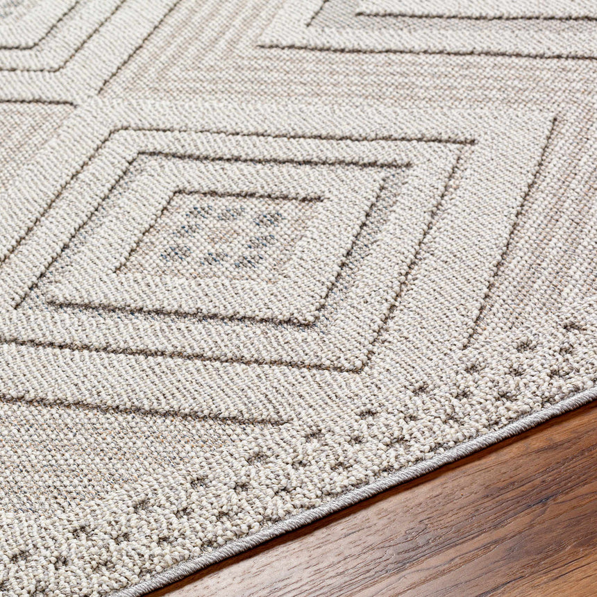 Aimee Natural Gray Area Rug - Clearance