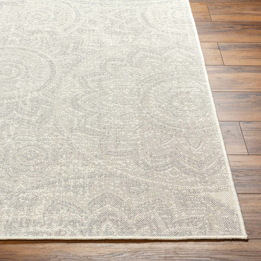 Close-up of the Ayala Cream Area Rug showing its beige, gray, and white traditional pattern and textured weave on wood floor. Front