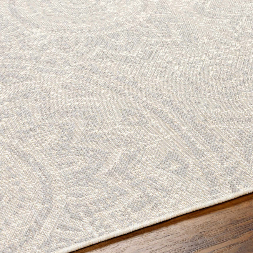 Close-up of the Ayala Cream Area Rug showing its beige and gray traditional pattern and woven texture. Texture