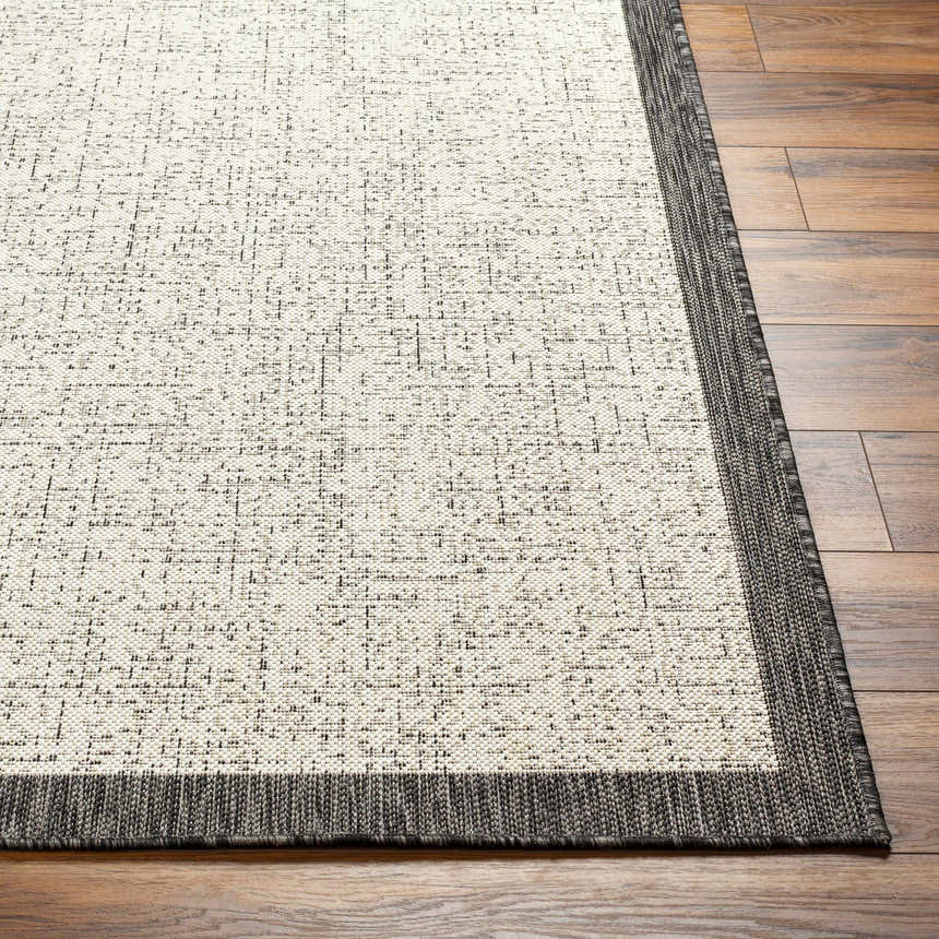 Close-up of Demas Gray & Cream Area Rug showing neutral colors, subtle pattern, woven texture, and dark gray border on wood floor. Front