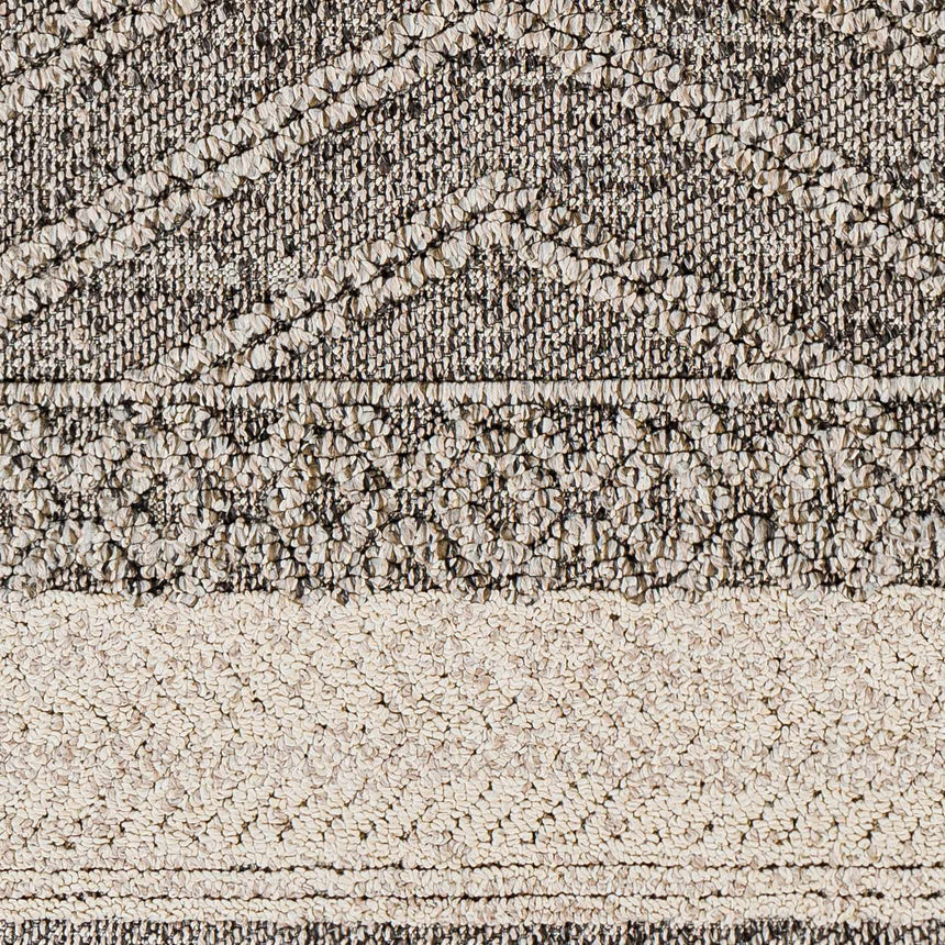 Areli Beige / Brown Outdoor Rug