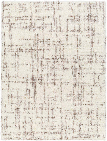 Close-up of the Asimo Area Rug, a beige shag with a subtle brown grid pattern and soft, plush texture. Design-Rectangle-537