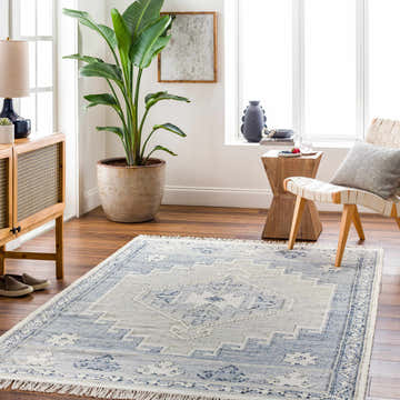 Living room scene with a blue and white Dumi Area Rug, woven chair, wood cabinet, and potted plant. Roomscene-Rectangle