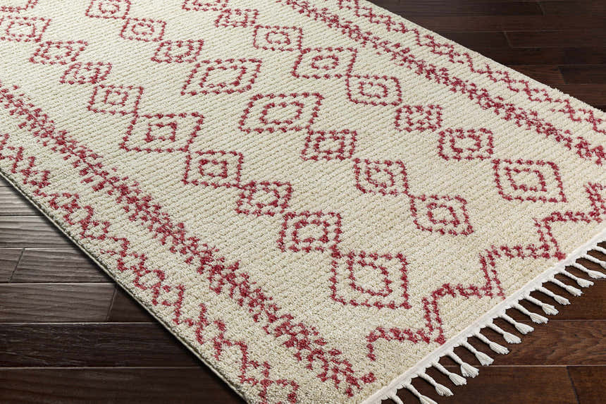Close-up of the Tinawagan Area Rug. Cream rug with a red geometric pattern and tassels on dark wood flooring. Corner