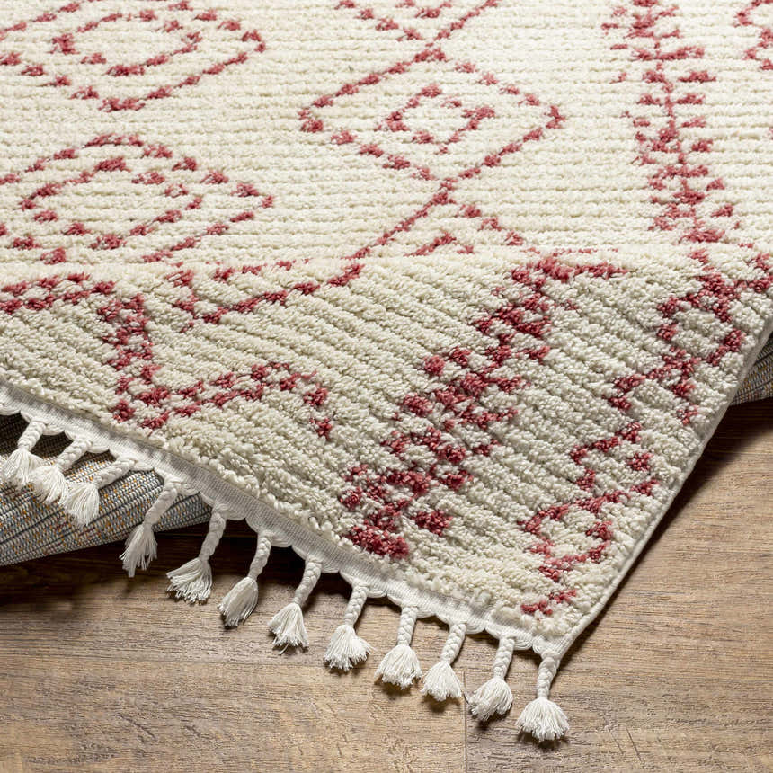 Close up of the Tinawagan Area Rug, a cream rug with a geometric red pattern and tassels, on a wood floor. Fold