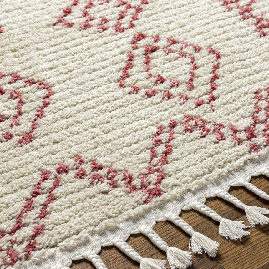 Close-up of the Tinawagan Area Rug. Cream rug with a red geometric pattern and braided fringe. Farmhouse style. Texture