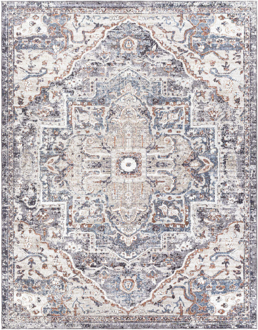 Close-up of the Tongala Indoor & Outdoor Rug. Traditional oriental rug design in beige, blue, brown, and gray. Design-Rectangle-71010