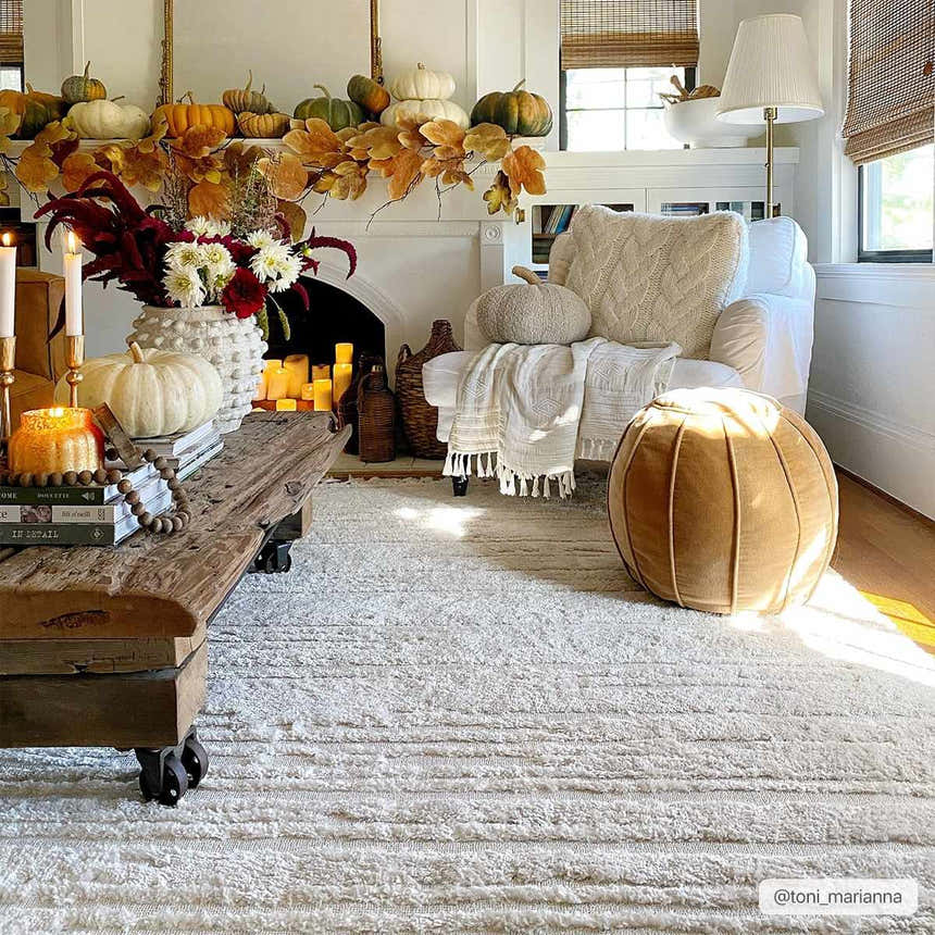 Living room scene with a textured ivory Ibarra rug, rustic wood coffee table, and fall decor. Roomscene-Rectangle