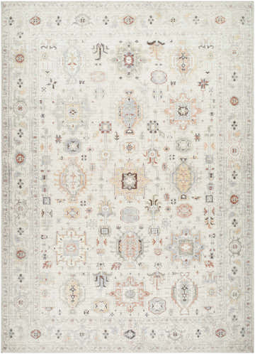 Close-up of the Vijay Area Rug. Light silver farmhouse style rug with traditional geometric patterns. Design-Rectangle