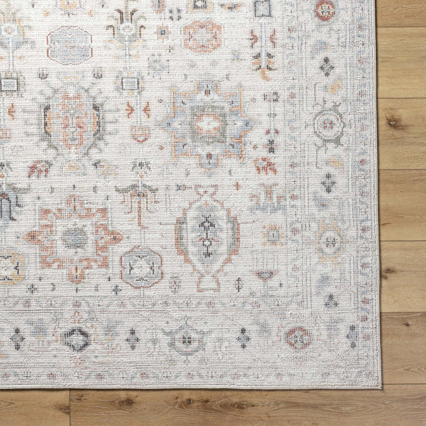 Close-up of the light silver Vijay Area Rug. Farmhouse style rug with traditional pattern and subtle blue, orange, and gray accents. Corner