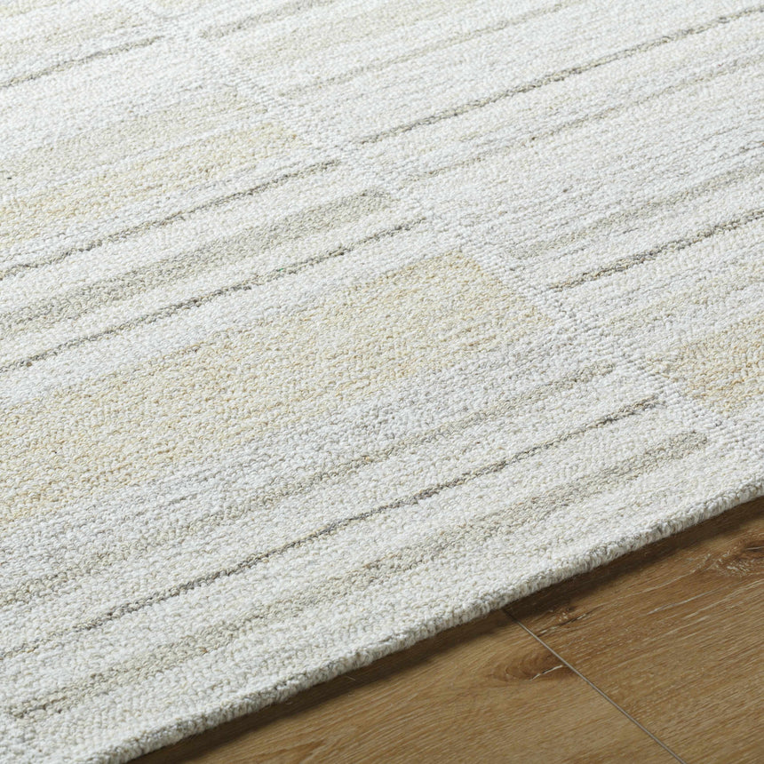 Vivek Modern Wool Rug