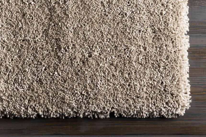Wakeeney Beige Shag Rug - Promo
