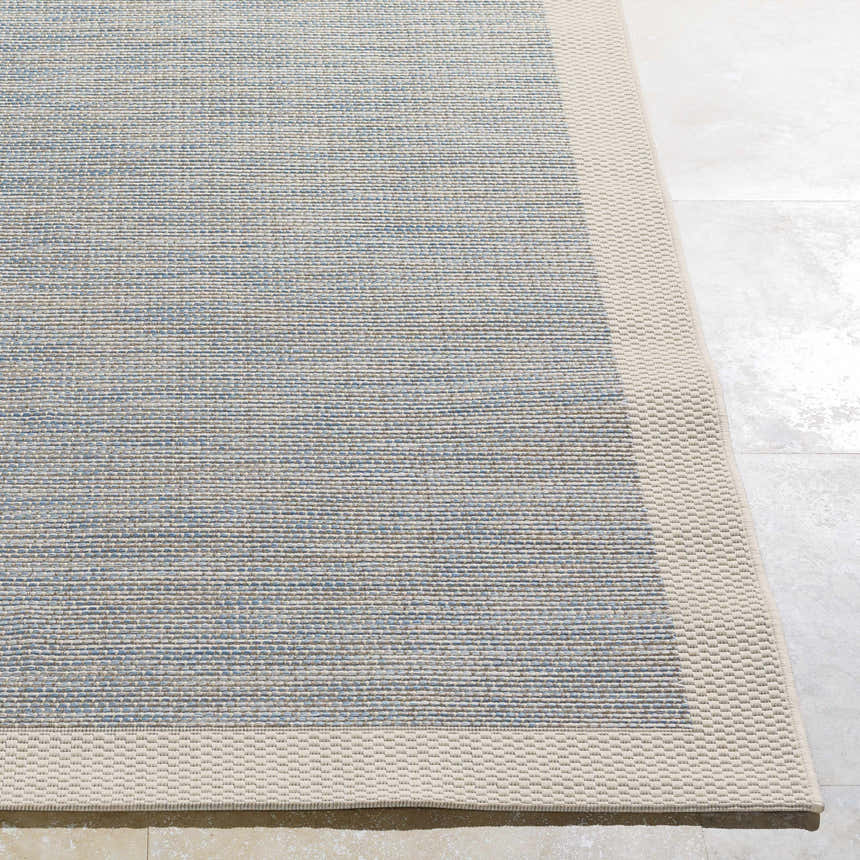 Close-up of the Wishon Area Rug showing a blue, cream, and taupe woven design with a cream border. Front