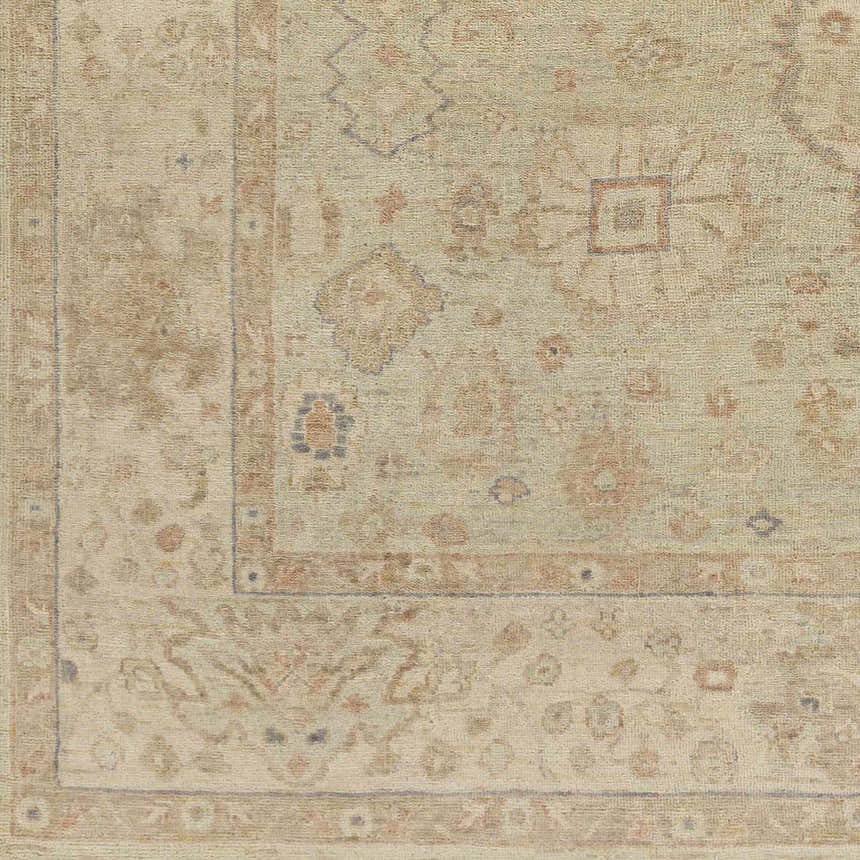 Close-up of the hand-knotted Wooroloo Area Rug. Beige, tan, and dusty pink oriental rug with a traditional pattern. Swatch