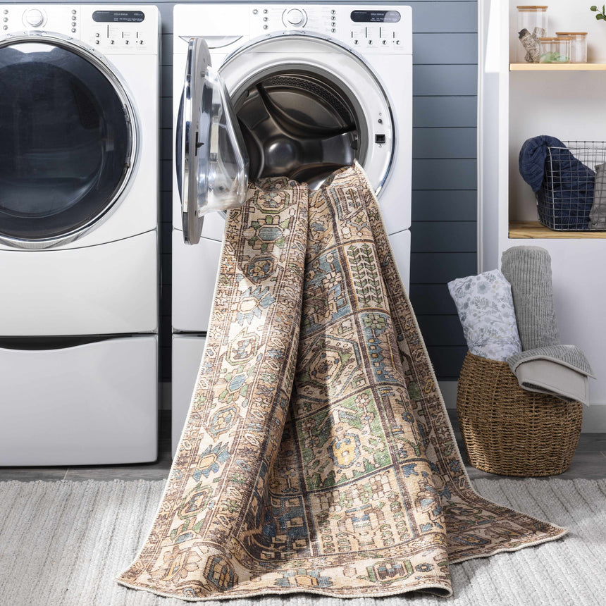 Watermount Washable Aztec Style Area Rug - Clearance