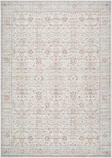 Close-up of the Xipil Area Rug. Traditional vintage design in dark red, ivory, and pale blue. Machine woven texture. Design-Rectangle