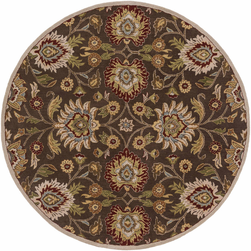 Conesus Hand Tufted Brown 1051 Area Rug