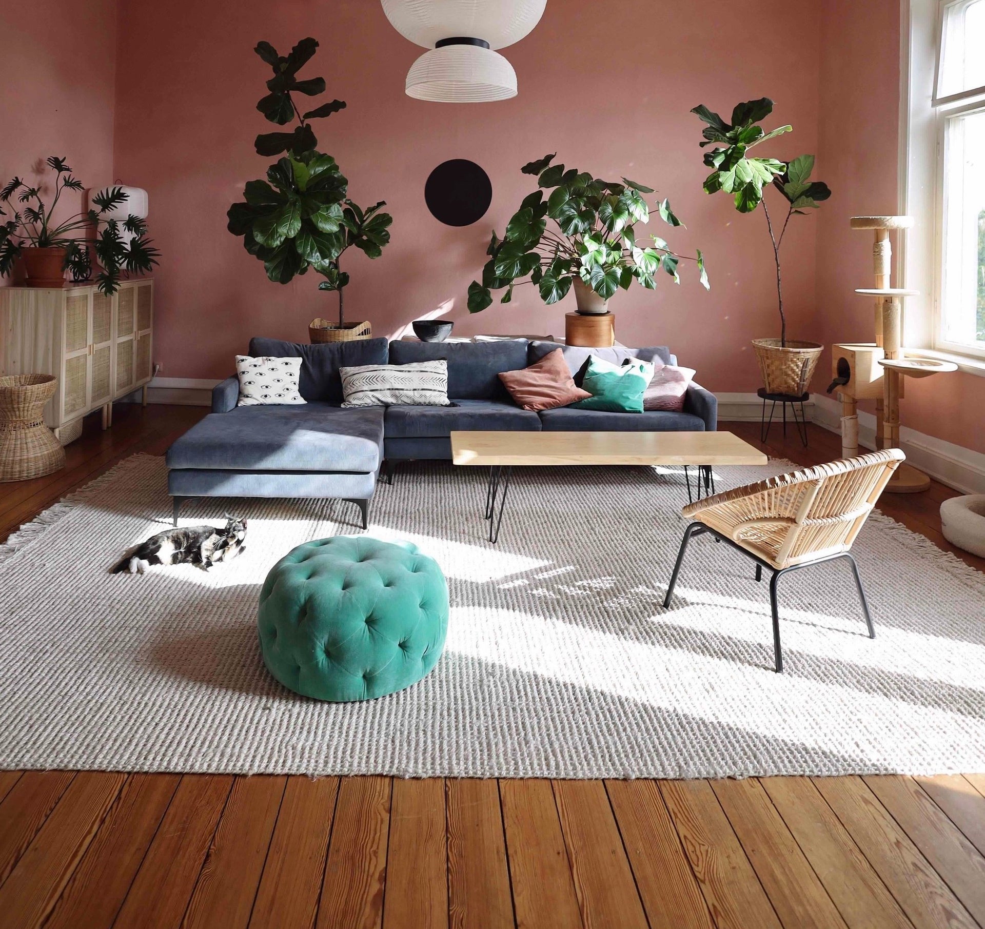 What Color Area Rug for Dark Wood Floors: Stunning Style Tips