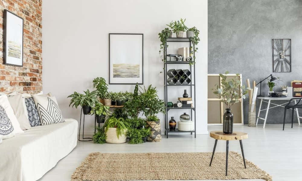 Tips for How To Clean a Jute Rug