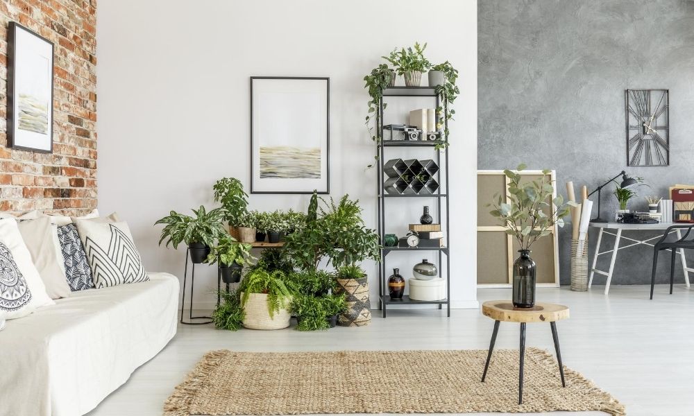 Tips for How To Clean a Jute Rug