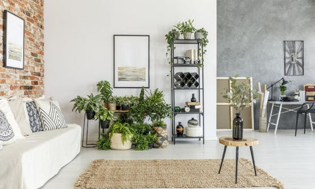 Tips for How To Clean a Jute Rug