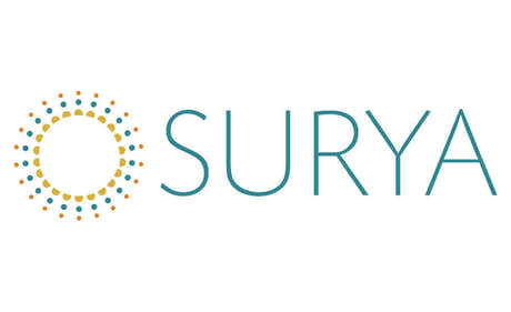Surya Rugs