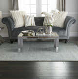 Living room scene with a grey sofa and Inspire Me! Home Décor Elegance Grey rug. Modern decor.