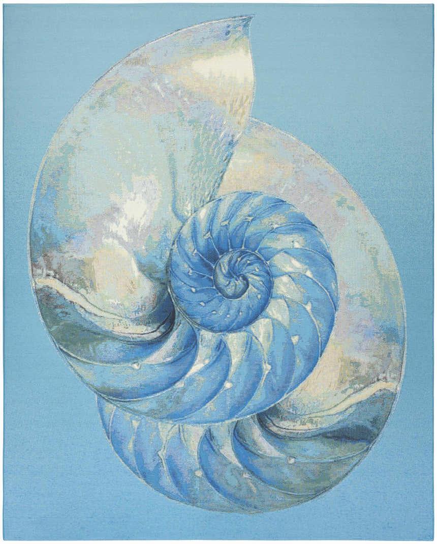 Close-up of the Nourison Color Splash Blue Ivory Area Rug featuring a nautilus shell design.