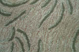 Hand Tufted Beige Animal Tiger 2x3 Wool Area Rug
