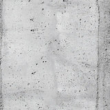 Raw Industrial Concrete Wall
