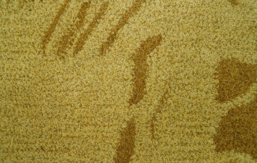 Hand Tufted 2x3 Animal Camel Wool Area Rug